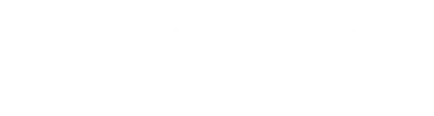 cybersecurity consulting firm logo